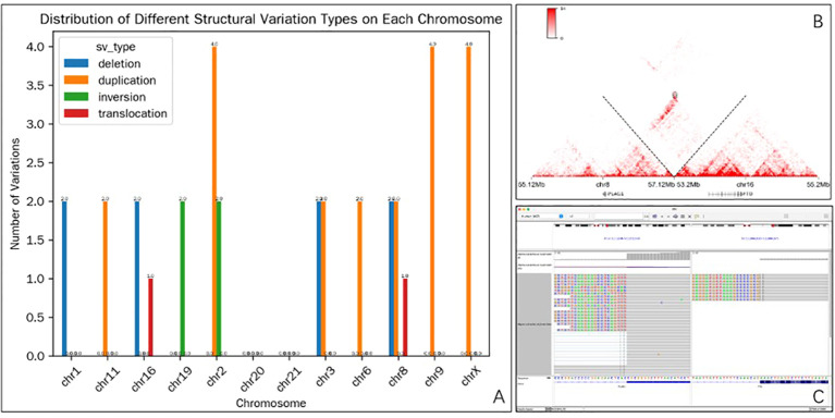 Figure 4