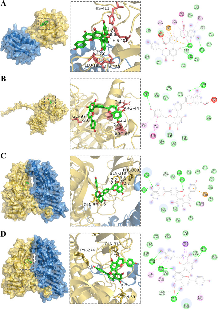 Figure 4