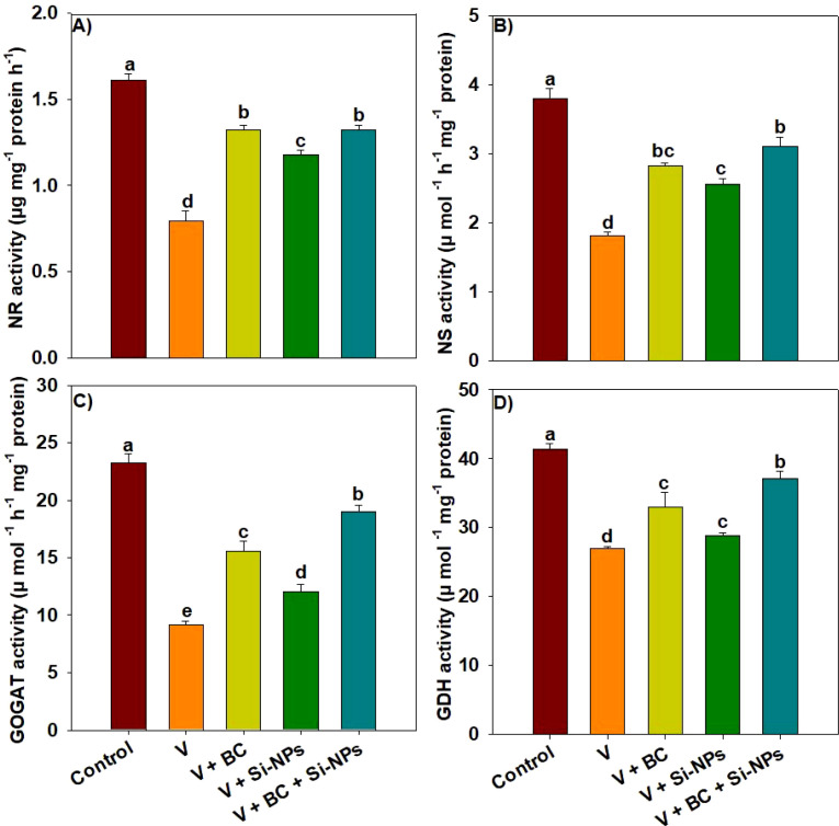 Figure 4