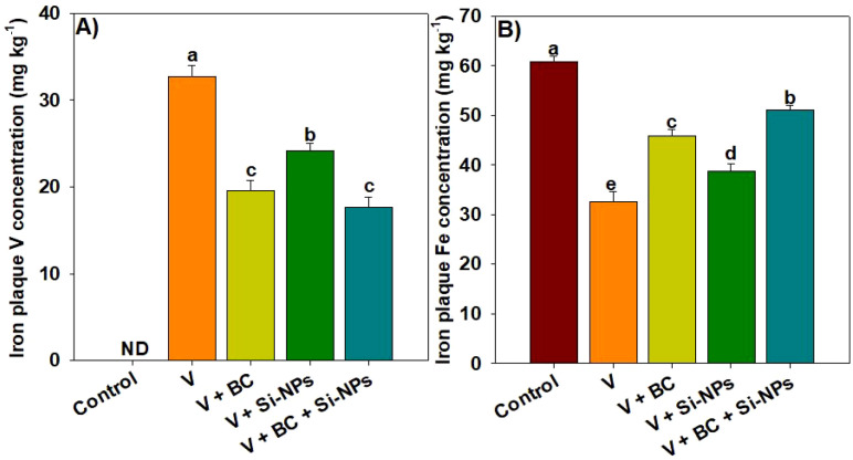 Figure 5