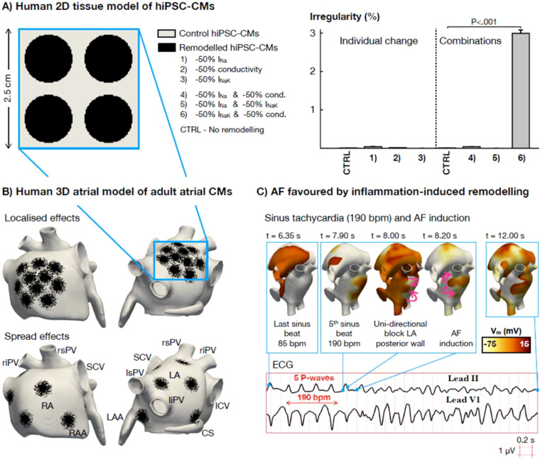Figure 6