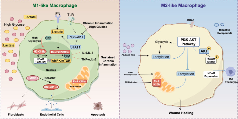 Figure 4