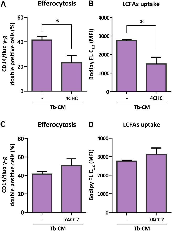 Figure 5