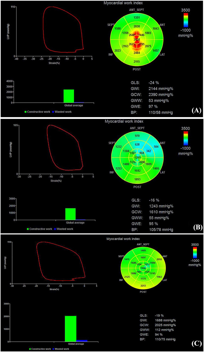 Figure 2