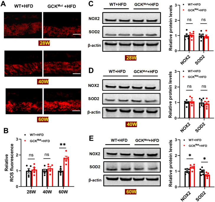 Figure 3