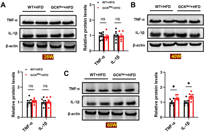 Figure 4