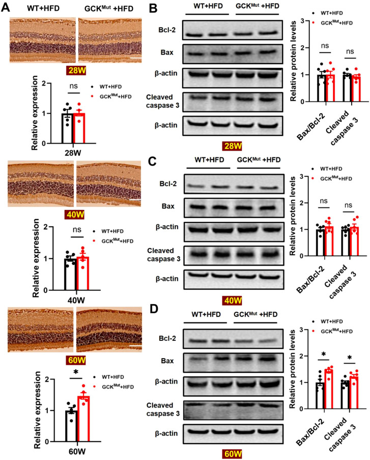 Figure 5