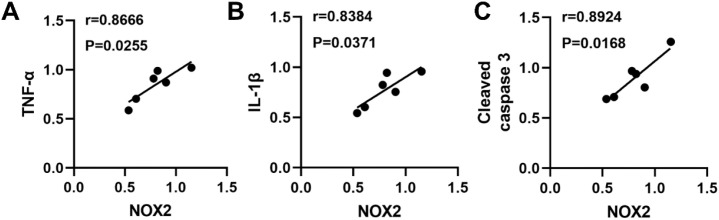 Figure 6