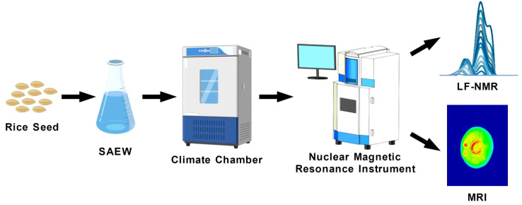 Figure 1