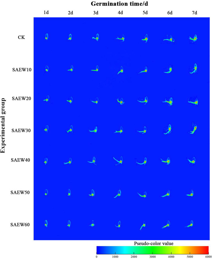 Figure 2