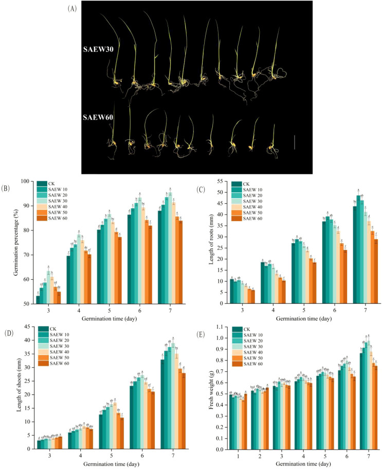 Figure 6