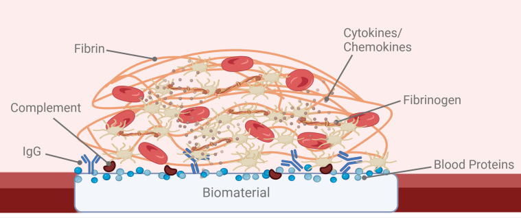 Figure 2