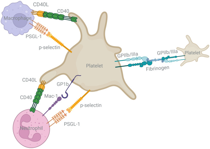 Figure 3