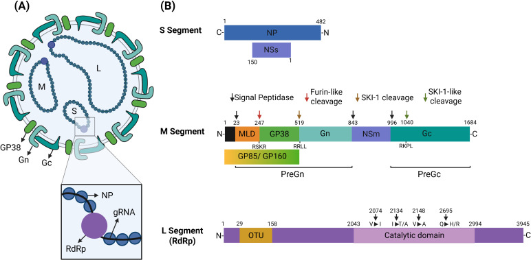 Figure 1