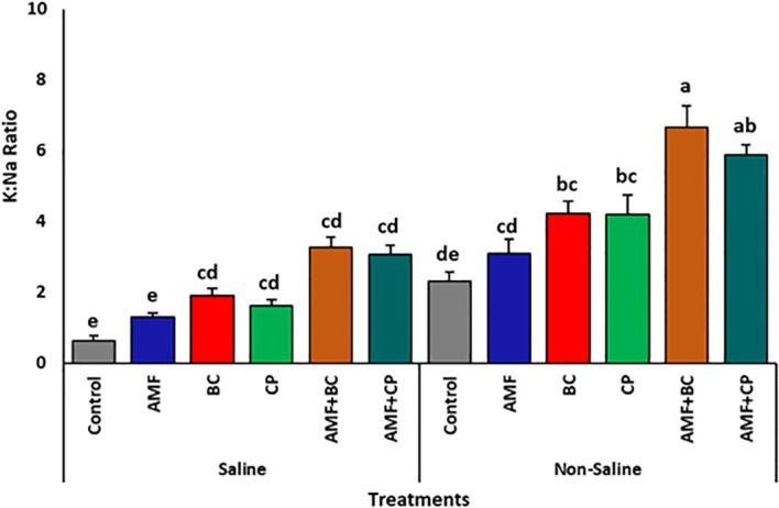 Figure 5
