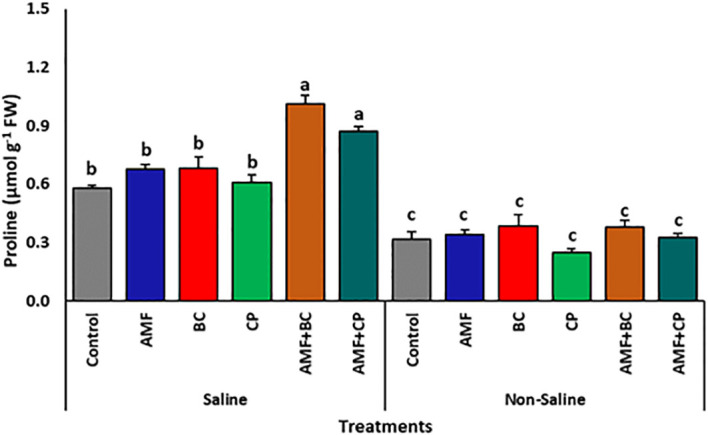Figure 6