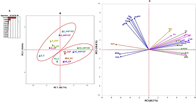 Figure 9