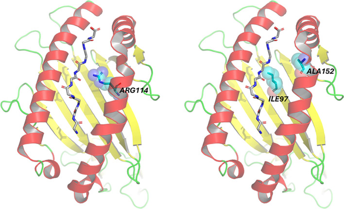 Figure 6