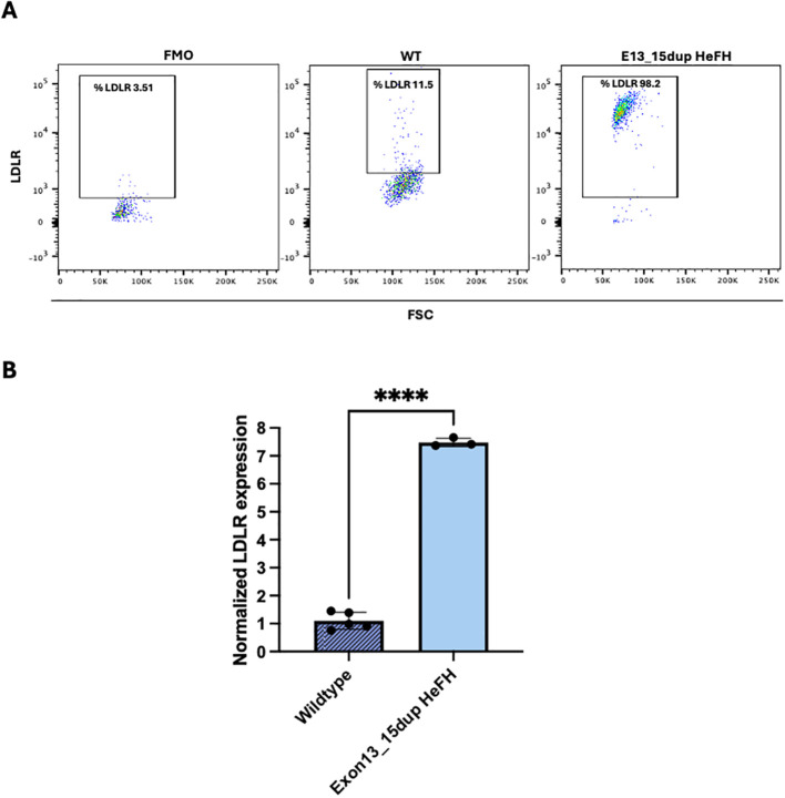 Figure 1
