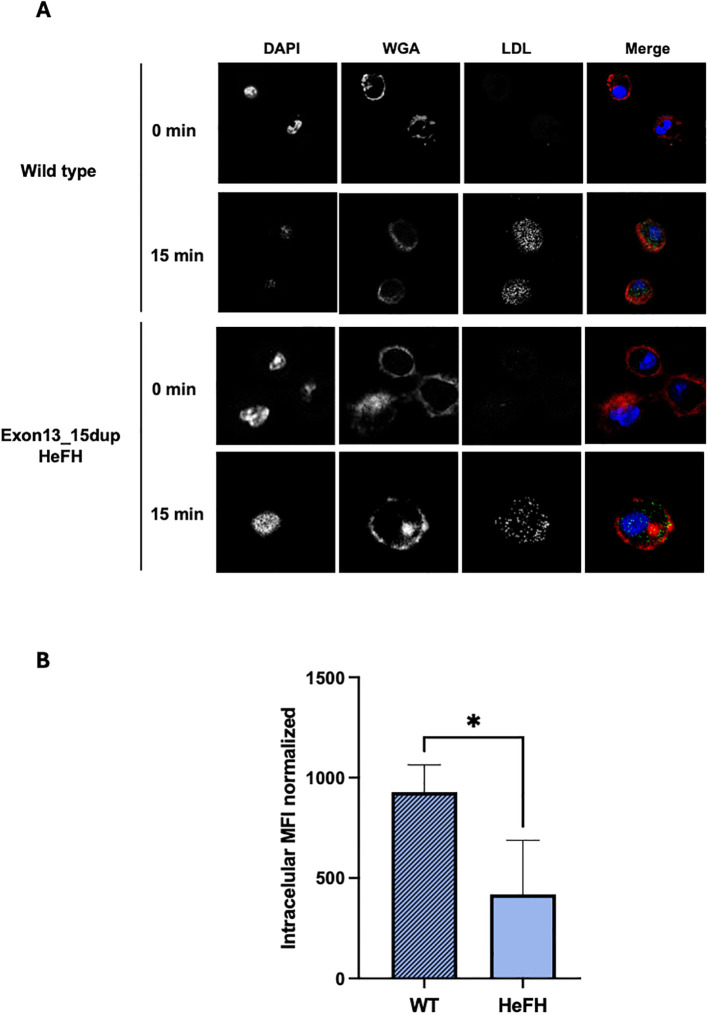 Figure 3