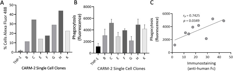 Figure 4