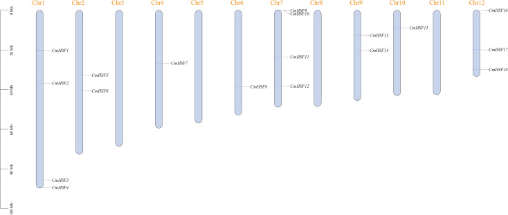 Figure 1