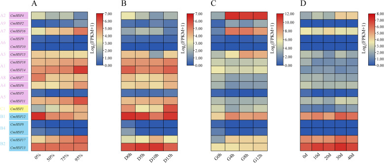 Figure 6