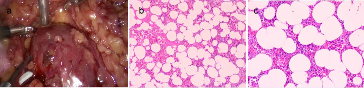 Figure 4