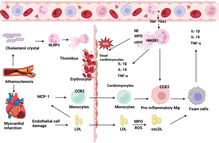 Figure 5