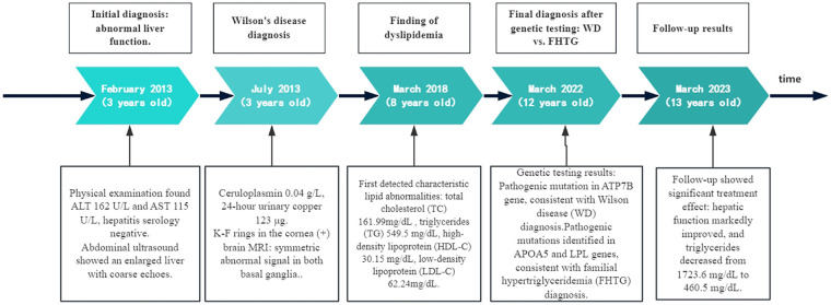 Figure 1