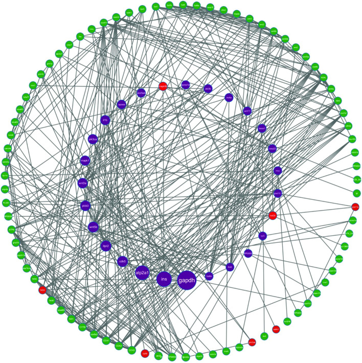 Figure 5