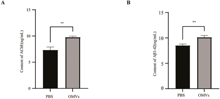 Figure 6
