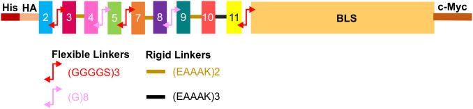 Figure 2