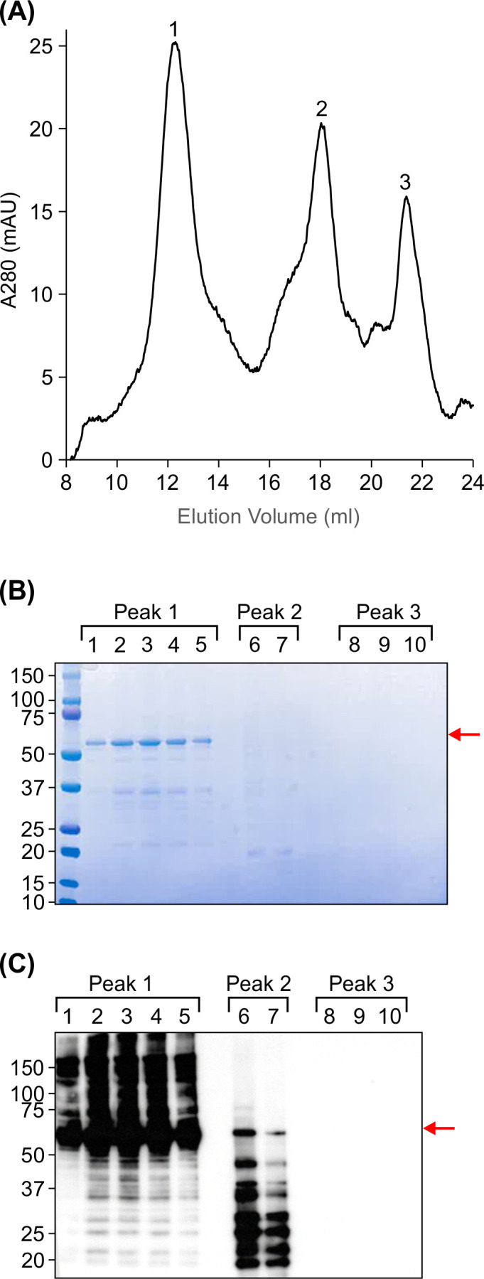 Figure 5