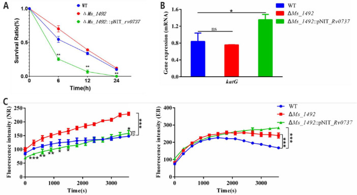 FIGURE 5