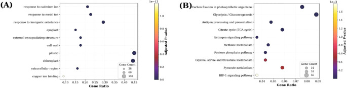 Figure 5