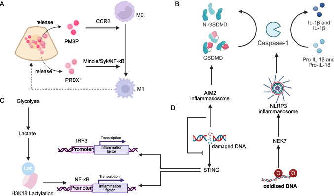 Figure 4