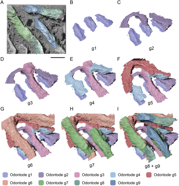 Figure 5