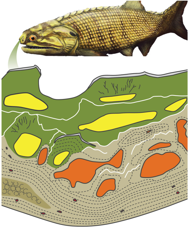 Figure 11