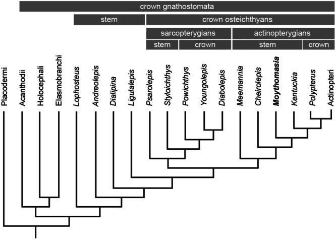 Figure 13