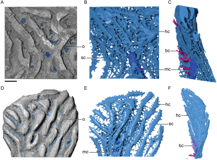 Figure 14