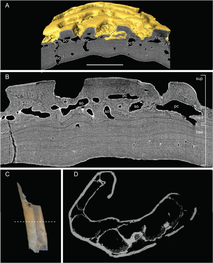 Figure 15