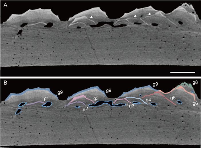 Figure 16
