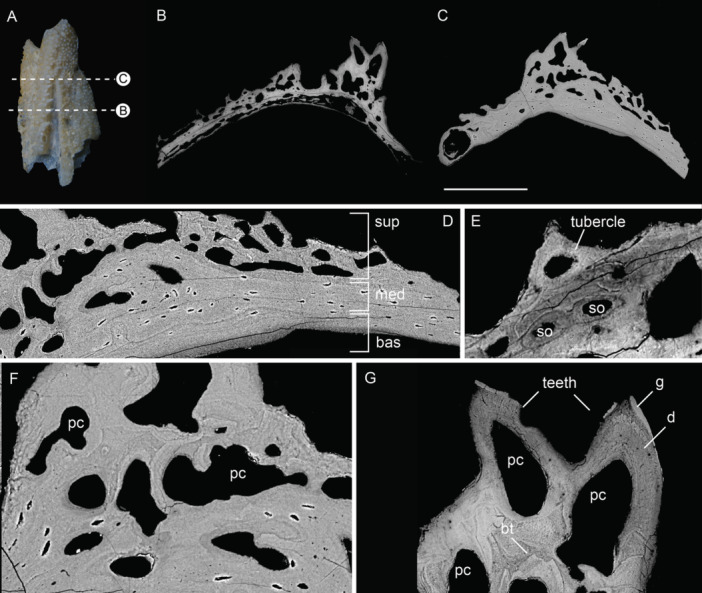 Figure 17