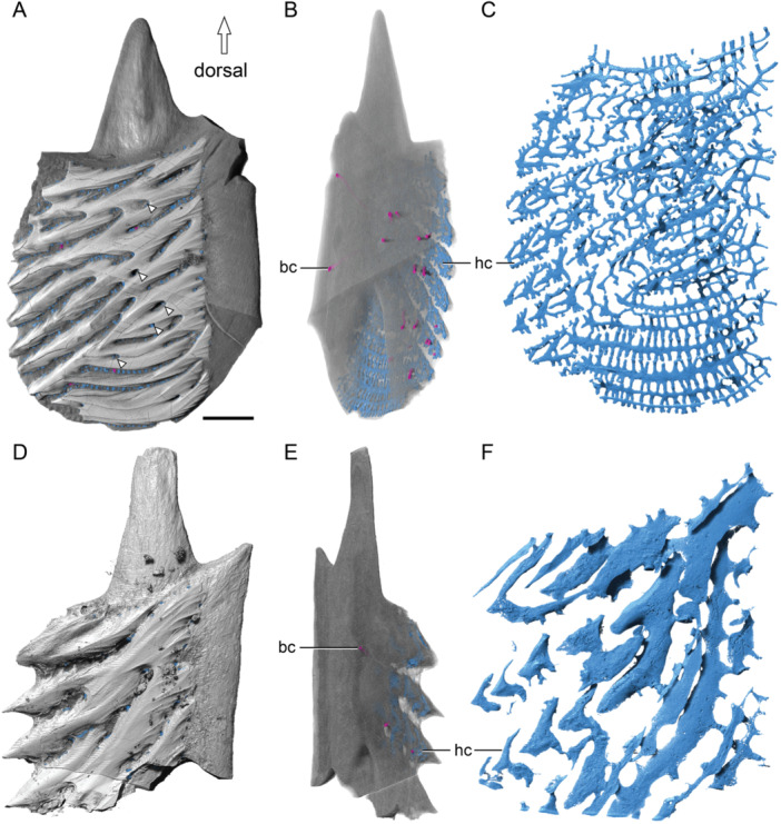Figure 18