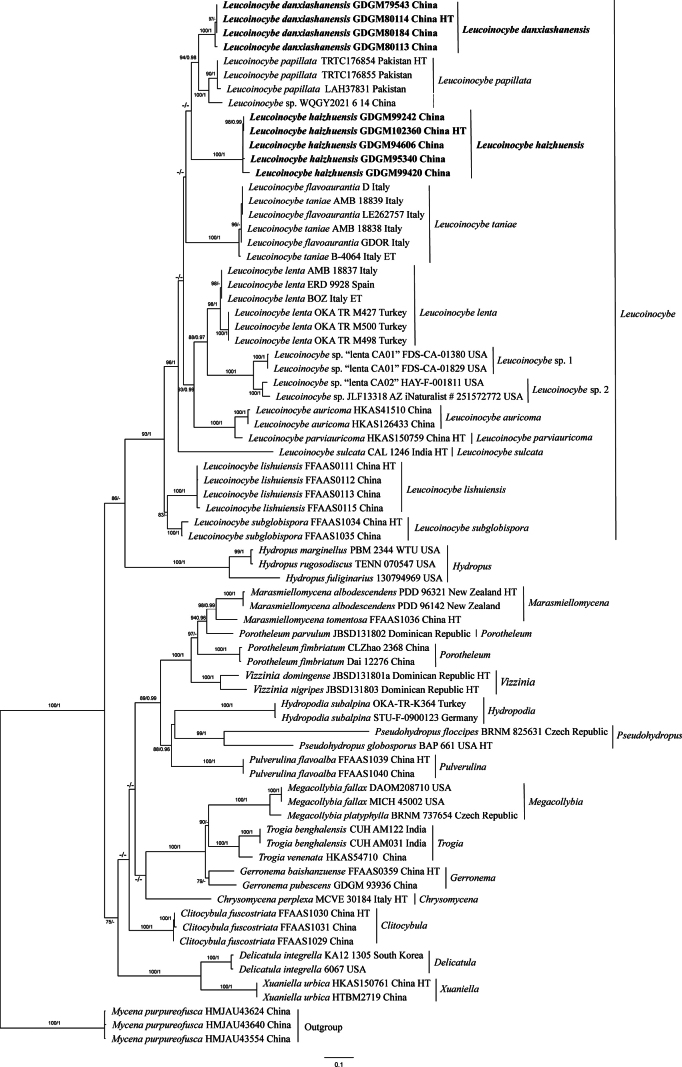 Figure 2