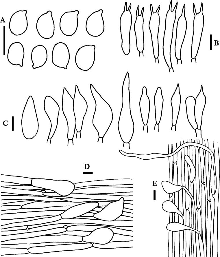 Figure 8