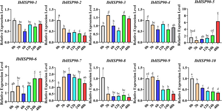 Figure 12