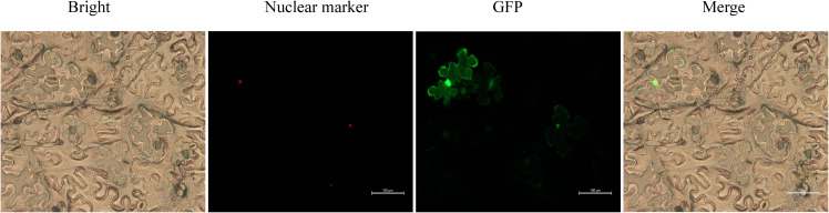 Figure 13