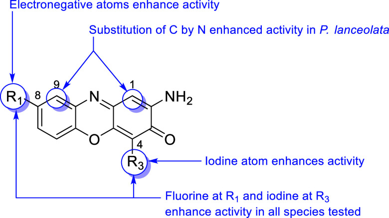 Figure 11